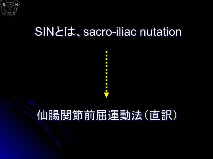 SIN法 参考資料