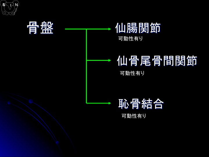 SIN法 参考資料