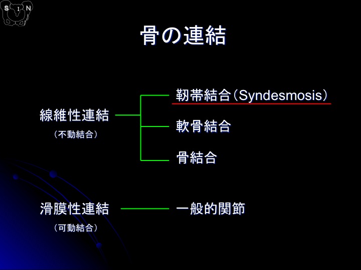 SIN法 参考資料