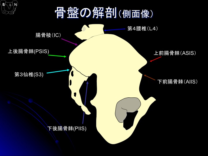 SIN法 参考資料