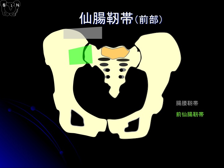 SIN法 参考資料